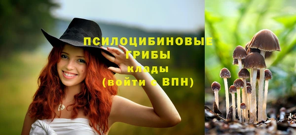 эйфоретик Горно-Алтайск